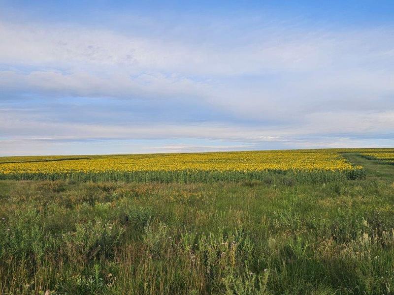 8 Bedroom Property for Sale in Bethlehem Rural Free State